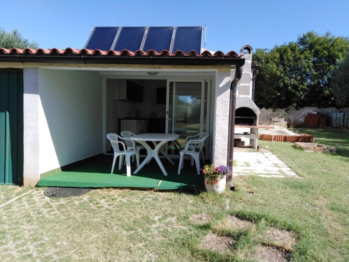 Apartments Free Parking Big Garden Peroj Εξωτερικό φωτογραφία