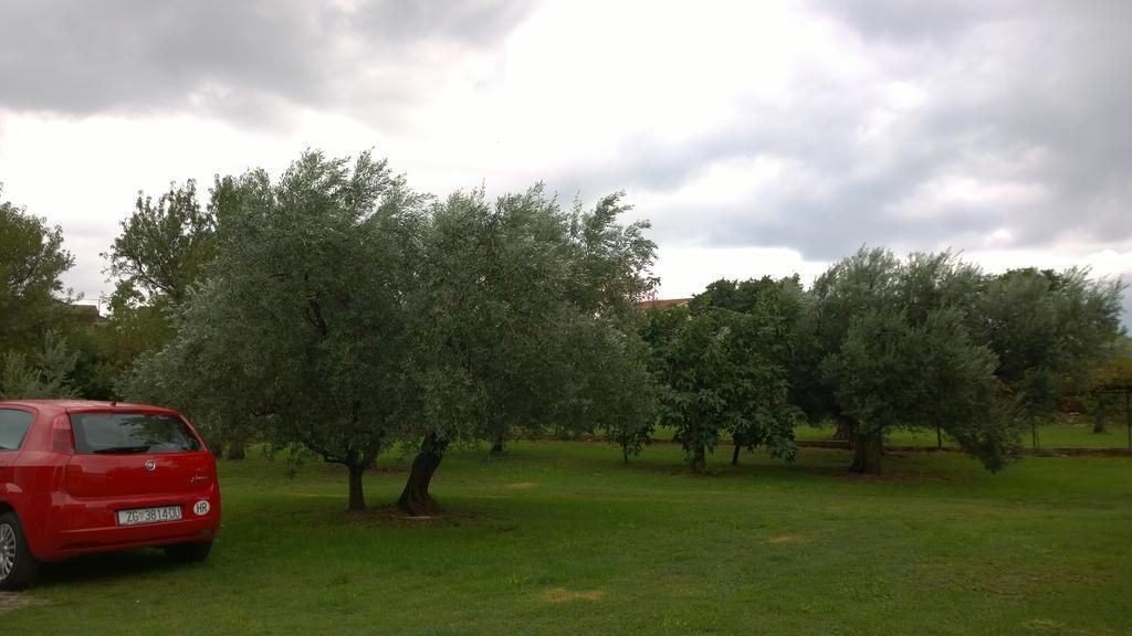 Apartments Free Parking Big Garden Peroj Δωμάτιο φωτογραφία